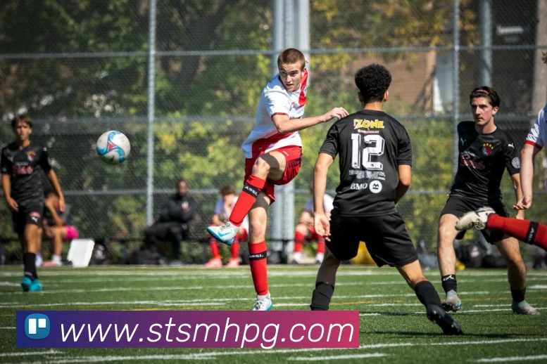 pg官网平台生态图